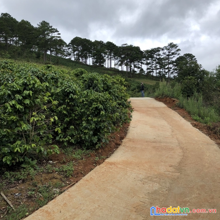 Sở hữu ngay lô đất siêu đẹp, siêu rẻ tại xuân trường, đà lạt view hồ xuân sơn