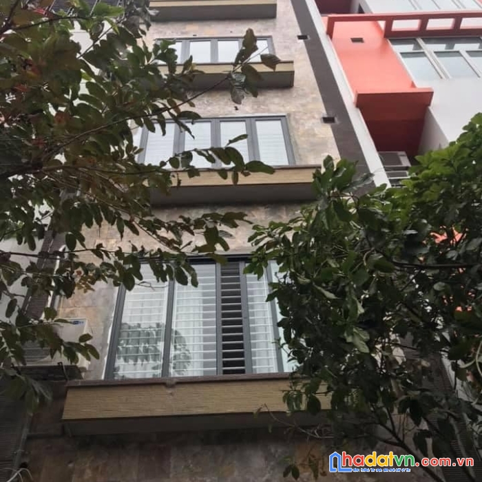 Chính chủ cần bán nhà riêng cầu giấy_ nhà 7 tầng, 75m2, ô tô tránh, thang máy, nội thất xịn