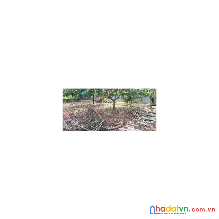 Cần bán đất vị trí đẹp tại tp long khánh.