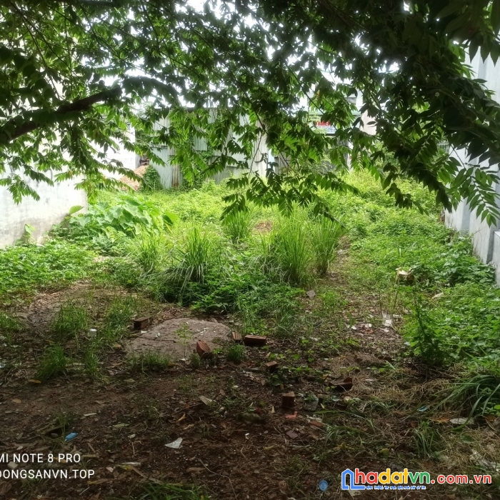 Siêu to ngang  6m3 ,dt 52m – đường  5m xe tải vi vu chỉ 3 tỷ 1oo