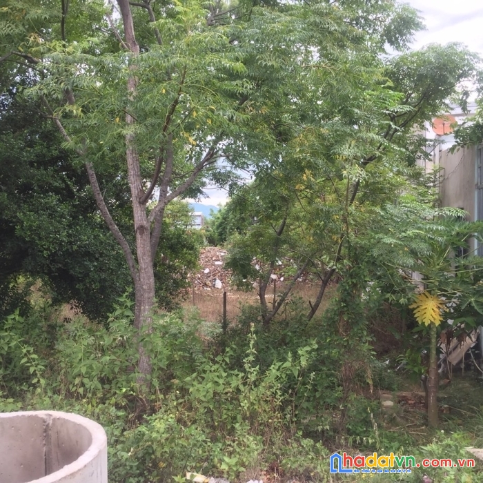 Sở hữu ngay lô đất vị trí đẹp tại tổ 29 phường hòa quý, quận ngũ hành sơn, thành phố đã nẵng