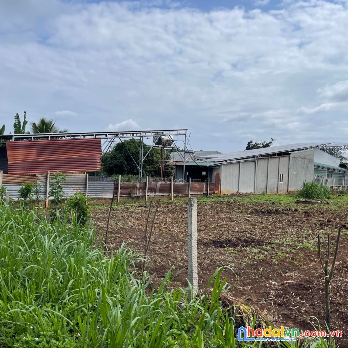 Cần tiền bán gấp lô ea kao gần kdl hoàng nam