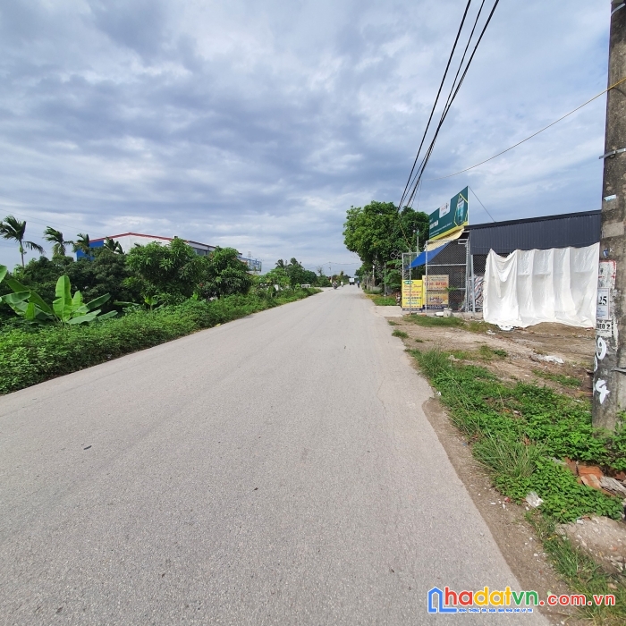 Chuyển nhượng 2 lô liền mặt đường 403 minh đức, đồ sơn -55