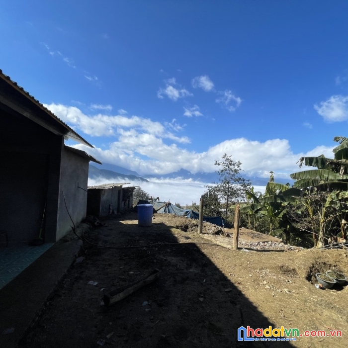 Bán đất sapa 2 thôn phan cán sử khu vực săn mây đẹp nhất,view đỉnh của chóp