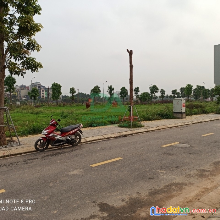 Bán đất đấu giá vườn đào đông anh hà nội