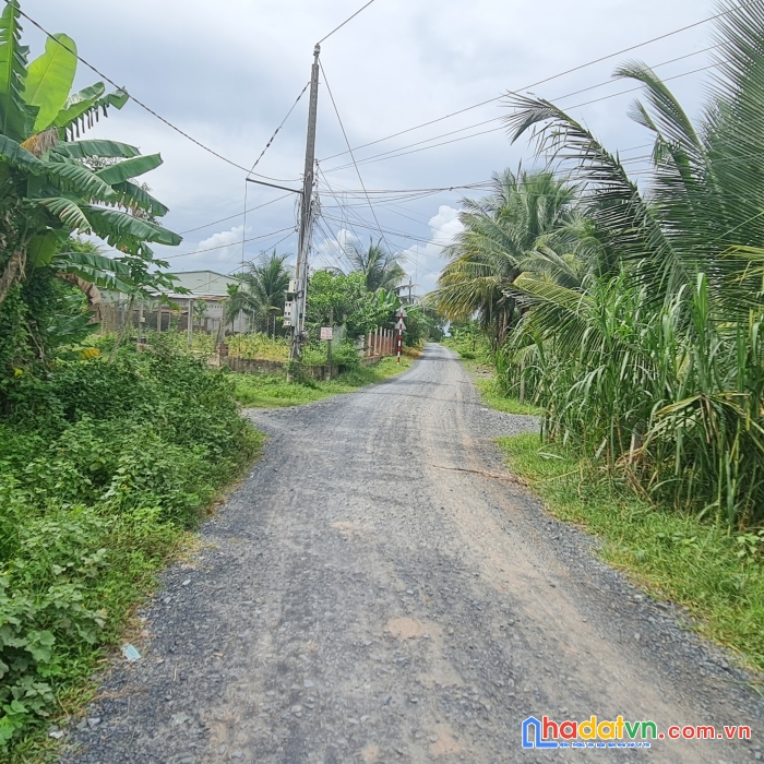 Cần bán lô đất thổ cư xóm bố gò dầu