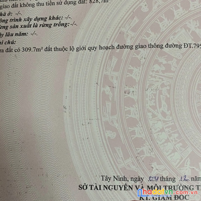 Sở hữu ngay lô đất đẹp vị trí đắc địa tại  ấp thành hưng, xã thạnh đông, huyện tân châu, tỉnh tây