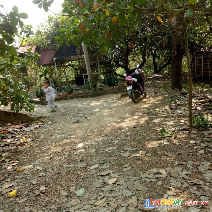 Bán đất rẫy bằng phẳng tại xã phú ngọc, định quán, đồng nai