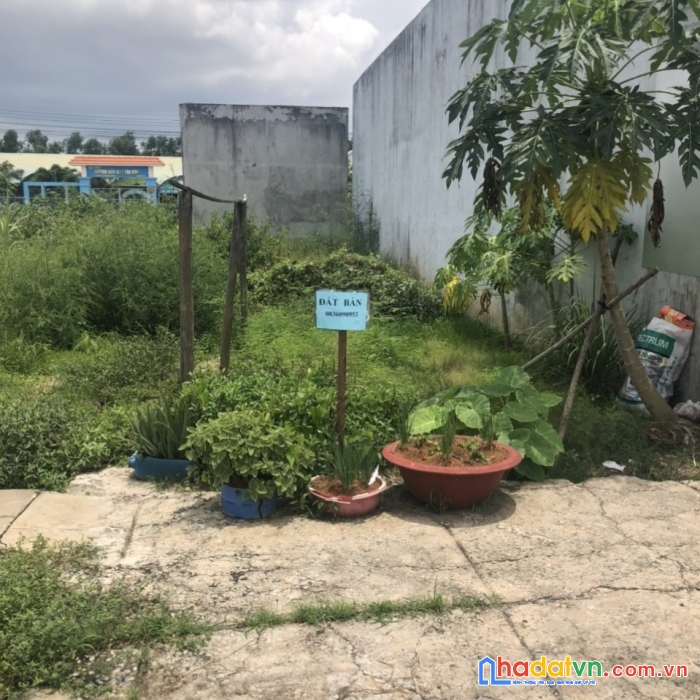 Bán lô đất nền kdc tân đông, thạnh hoá, long an. mặt tiền đường chính từ mỹ lạc_ thủ thừa thẳng ra