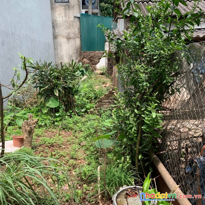 Đất tứ hiệp dt:92m2 .mt:7m oto đỗ gần giá :3.5tỷ