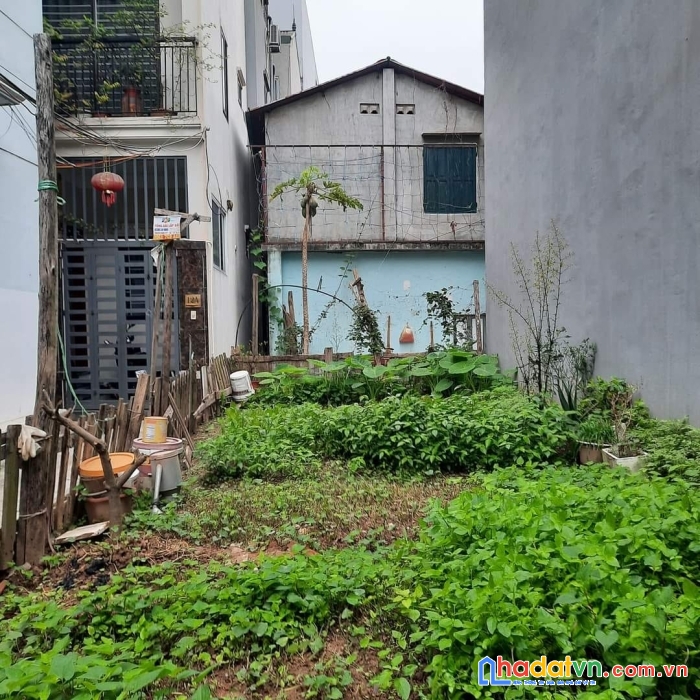 Đất liên ninh oto vào ,ngõ thông 48m giá 2.2 tỷ