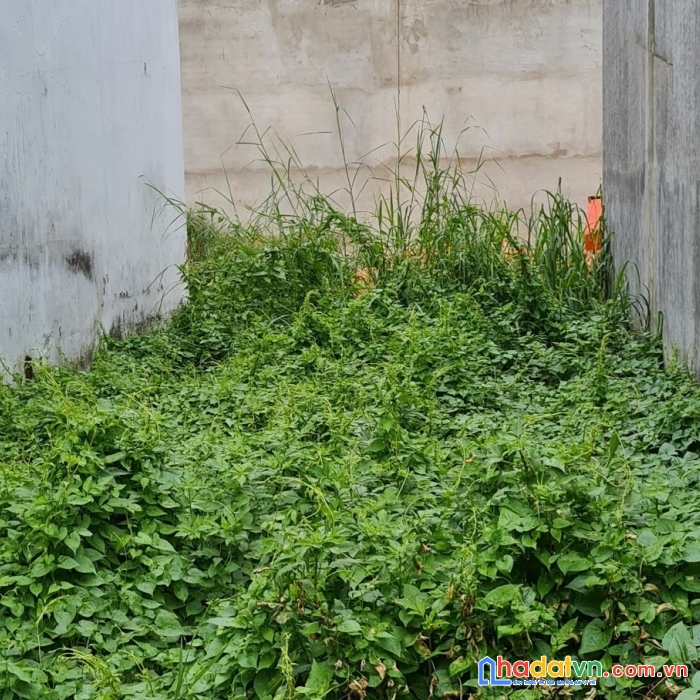 Bán gấp đất đẹp phan huy ích p12 gò vấp 80m2 chỉ 5 tỷ