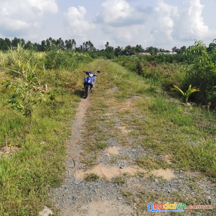 Cần tiền bán gấp lô đất chính chủ 4000m2 sổ riêng, bến lức, long an