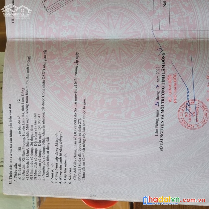 Chính chủ ngộp ngân hàng cần sang cọc nhanh giá lỗ chỉ 1tỷ 250 triệu có 1.045m2 ngay đan phượng,