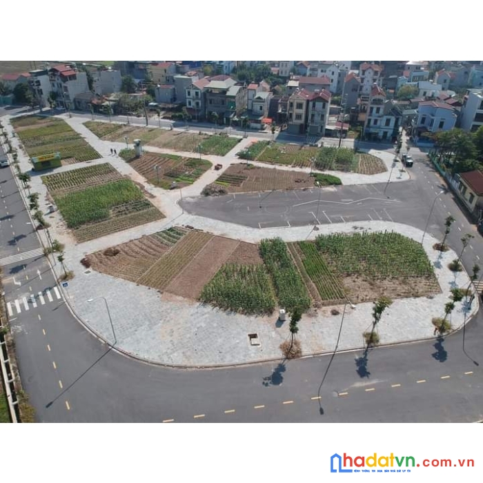 80m2 đất đấu giá x1 lê xá, mai lâm, đông anh