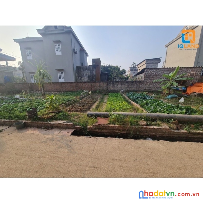 Bán gấp đất đông anh xã xuân nộn giá nhỉnh 1.1 tỷ, 40m2 mt 4.45m. đường ô tô đỗ cửa