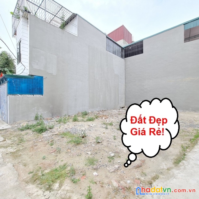 Bán 50m2 đất gần cổng học viện nông nghiệp, trâu quỳ, gia lâm, hà nội. ôtô vào. lh 0989894845