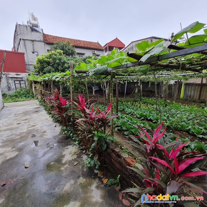 Bán đất vạn phúc - thanh trì - diện tích 42m2 - giá 1.4 tỷ