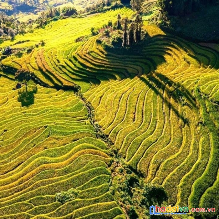 Bán nhanh mảnh đất có nhà- có sổ đỏ tại sapa. nằm ngay điểm khu du lịch hang đá