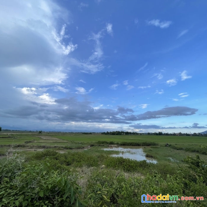 Bán đất lúa giáp mặt đường gần khu dân cư tại ninh hưng, ninh hòa