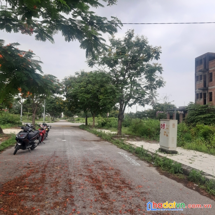Lô đất siêu đẹp tại anh dũng 6, dương kinh, hp
lô đất siêu đẹp tại anh dũng 6, dương kinh, hp

