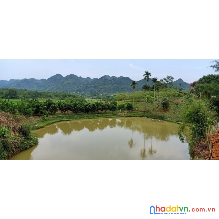 Nhanh tay nhanh tay chỉ hơn 400k bạn đã có thể mua dc m2 đất tai kim bôi hòa bình