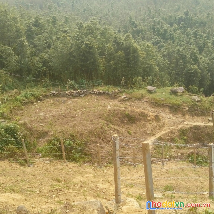 Bán đất thôn séo mý tỷ - tả van- 2500m2 - 3,8 tỷ