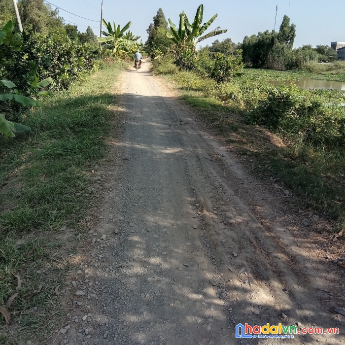 Cần bán lô đất vị trí đẹp tại thị xã kiến tường long an