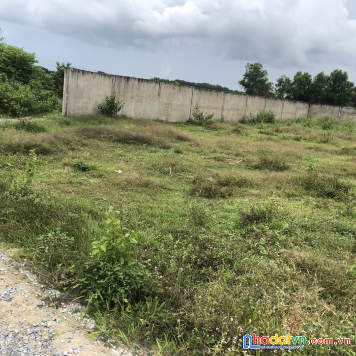 Sở hữu ngay lô đất vị trí đẹp tại gò dầu, tây ninh