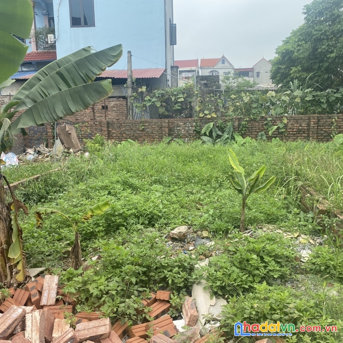 (rẻ hơn khu vực) bán 61m2 xuân bách-quang tiến-sóc sơn. đường 4m ngõ thông