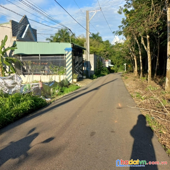 Ở xa không quản lý được nên mình cần bán