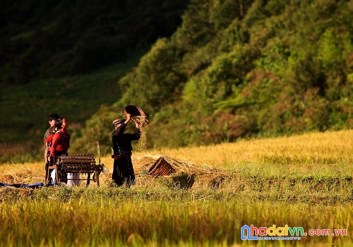 Bán  đất gần trung tâm y tý, vị trí đắc địa. gần điểm check in công viên choẻn thèn nổi tiếng