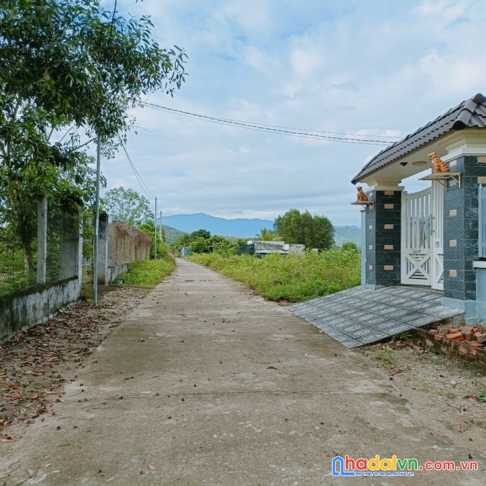 Bán đất vườn xã diên đồng huyện diên khánh rẻ hơn 3 giá so với khu vực diện tích 273m2 giá chỉ