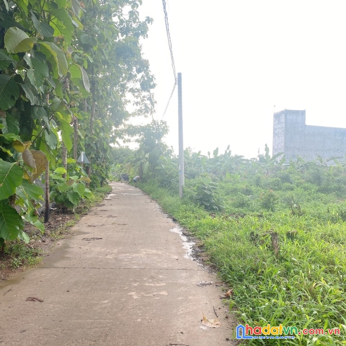 Cần bán đất vị trí đẹp tại: ấp hòa thành, xã ngọc định, huyện định quán, tỉnh đồng nai