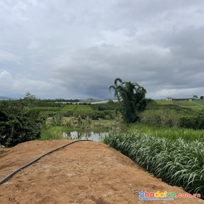 Bán 1200m2 - lên được toàn bộ thổ cư - đất bình thạnh - đức trọng - lâm đồng