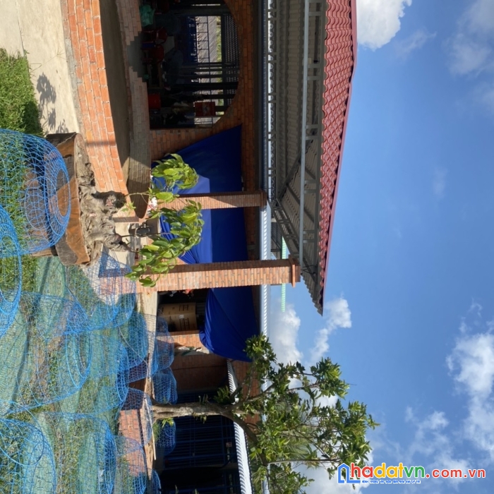 Cần bán trại gà mỏ cày nam tỉnh bến tre