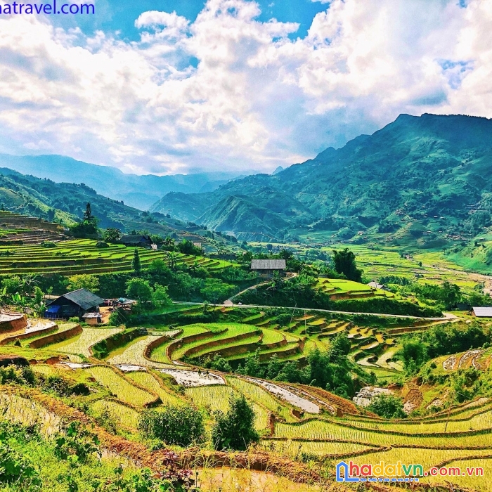 Đất 655m2 sapa 2, y tý cạnh bến xe, view săn mây, ruộng bậc thang t6/2022