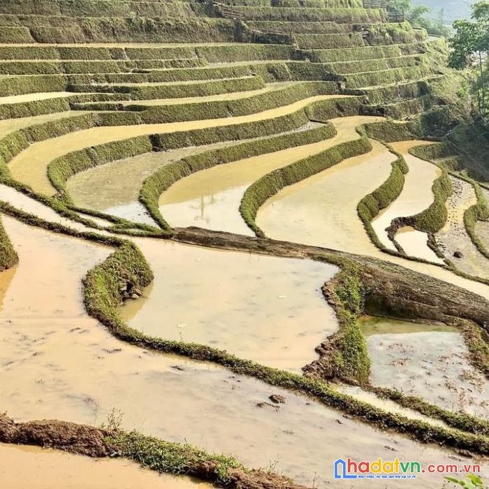 Bán đất nền y tý (sapa2) không dính quy hoạch, giá rẻ