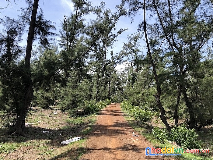 Bán đất rừng bình minh thăng bình, 36ha,võ chí công 91.x tỷ