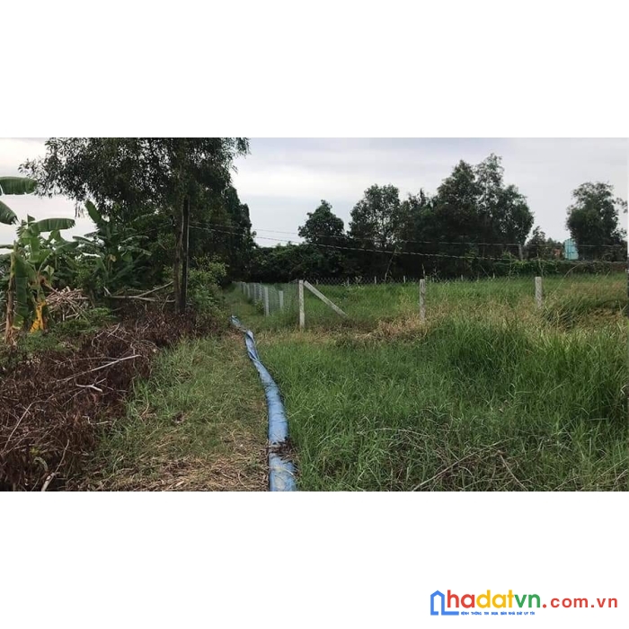 Bán đất long an rẻ, rộng, gần sông mát mẻ, hơn 2000m, giá 3ty3