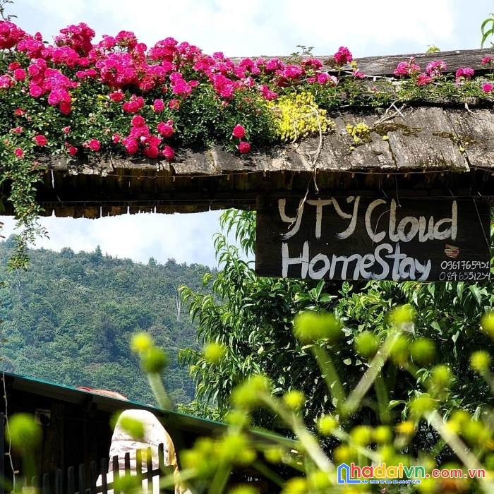 Mảnh đất làm du lịch đầy tiềm năng tại y tý-sapa2, sáng ngắm mây, chiều ngắm hoàng hôn siêu đẹp