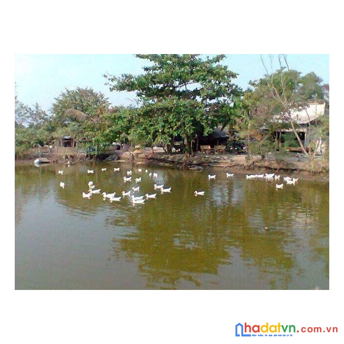 Sở hữu ngay lô đất vị trí  đẹp tại tân quý tây, huyện bình chánh - tp hồ chí minh