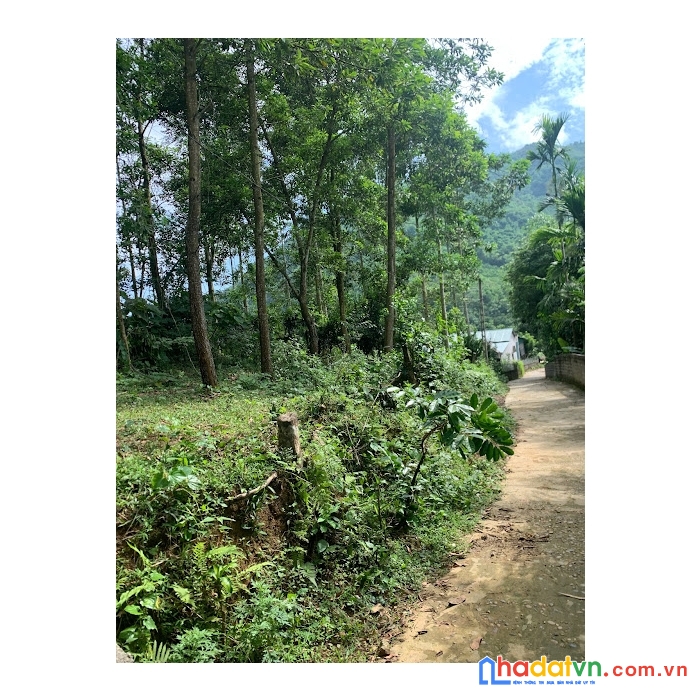 Cần bán lô đất đẹp tại xã hoà bình tp  hoà bình