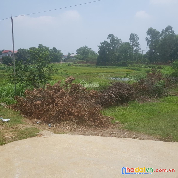 Bán đất bình yên, thạch thất, hà nội, 205m-2 mặt tiền giá chỉ hơn 8tr/m, có 60m thổ cư.