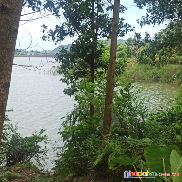 E cần bán 1340m hồ cố đụng tiến xuân thạch thất hn