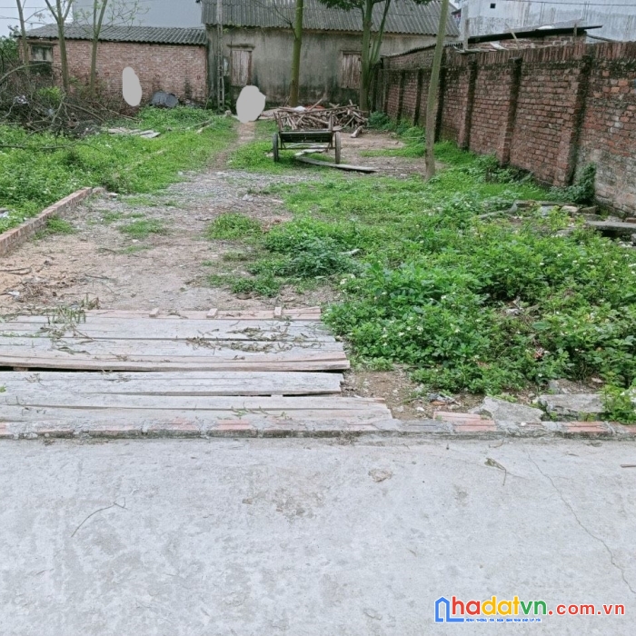 Gia đình em bán 134m2 yên ninh – hiền ninh – sóc sơn, đường 3m phân đôi được. lh 0979040629