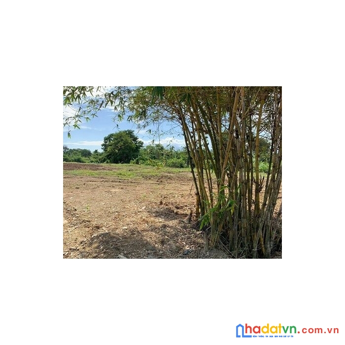 Cần bán gấp đất view sông thôn dân cường, xã hàm thạnh, huyện hàm thuận nam, bình thuận.