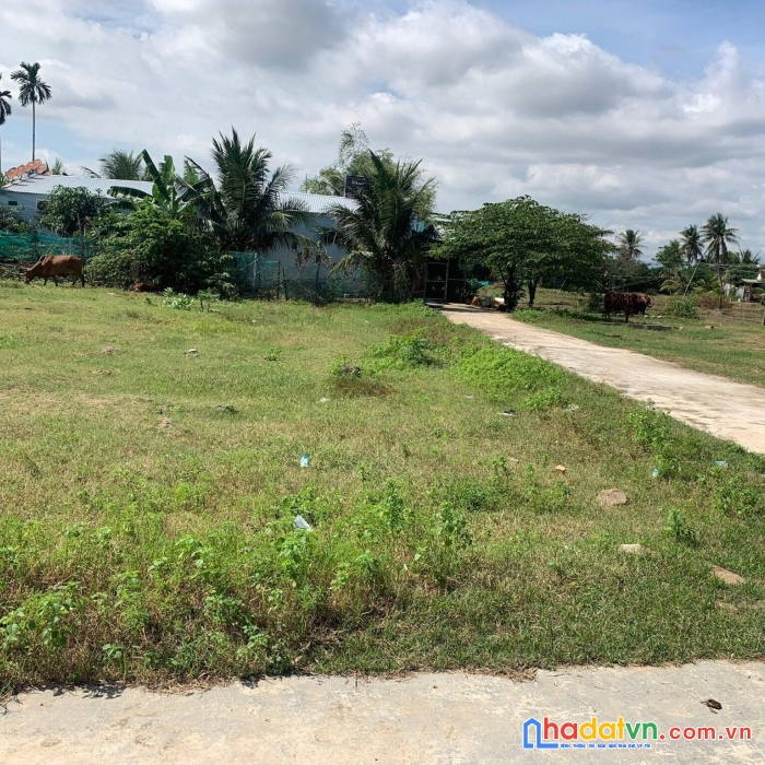 Bán lô đất vuong vắn gần ql1a giá chỉ 700tr ninh quang - ninh hòa - khánh hòa