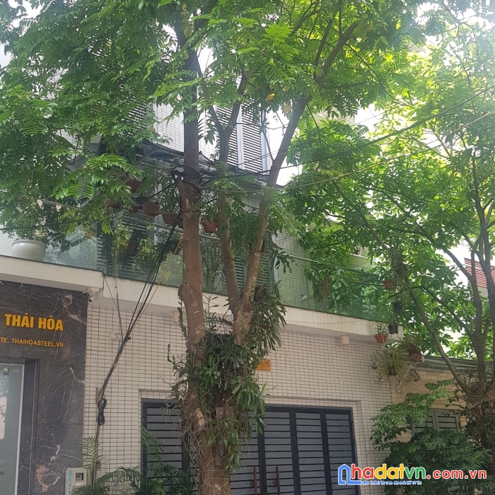 Bán nhà n07 khu dt dịch vọng cầu giấy hà nội vỉa hè kinh doanh 26 tỷ.