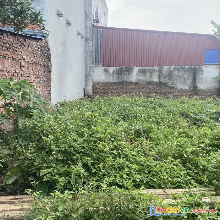 (hoa hậu làng) bán 59.1m2 tại thôn tuyền - đông xuân - sóc sơn đường ô tô ngõ thông.